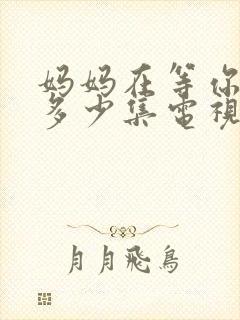 妈妈在等你总共多少集电视剧封面