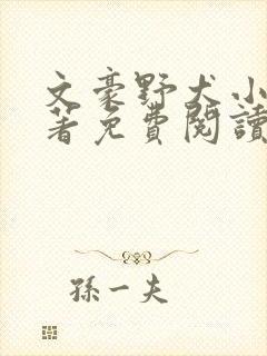 文豪野犬小说原著免费阅读全文