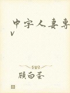 中字人妻专区av