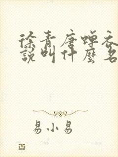 徐青唐蝉衣的小说叫什么名字