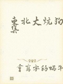 东北大炕狗儿续集