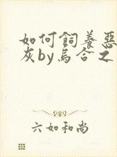 如何饲养恶毒炮灰by乌合之宴