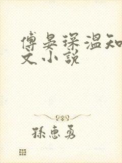 傅晏琛温知意全文小说