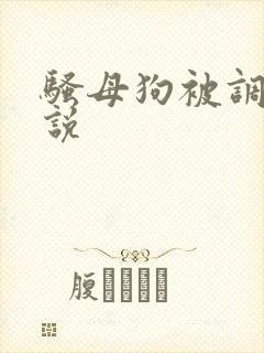 骚母狗被调教小说封面