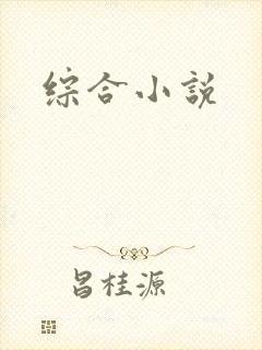 综合小说封面