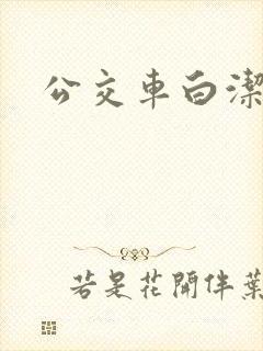 公交车白洁小说