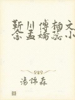 靳川傅柏文沈念念孟娇蕊小说