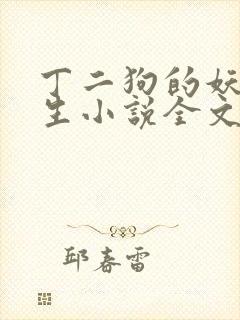 丁二狗的妖孽人生小说全文免费笔趣阁