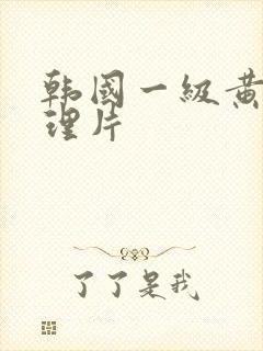 韩国一级黄色伦理片封面