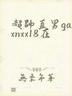 超帅直男gayxnxx18在