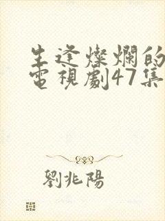 生逢灿烂的日子电视剧47集免费观看