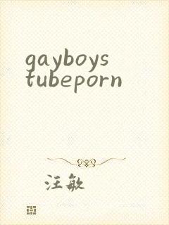 gayboystubeporn