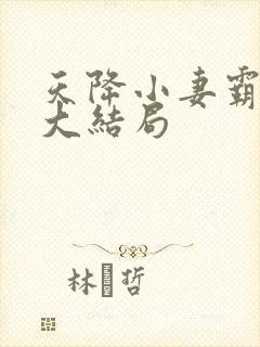 天降小妻霸道宠大结局封面