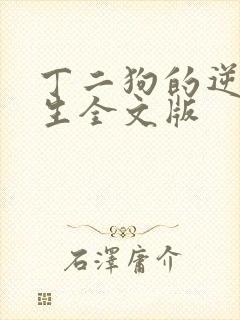 丁二狗的逆袭人生全文版