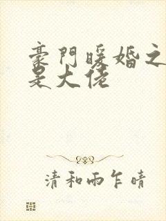 豪门暖婚之夫人是大佬