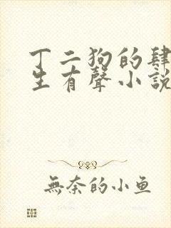 丁二狗的肆意人生有声小说免费