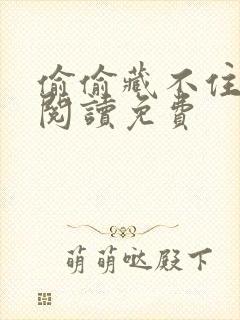 偷偷藏不住在线阅读免费