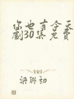 你也有今天电视剧30集免费观看