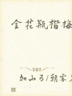 金花瓶楷梅花5封面