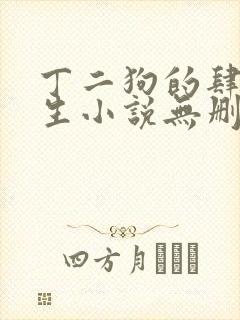丁二狗的肆意人生小说无删减全文阅读