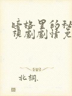 暗格里的秘密电视剧剧情免费观看封面