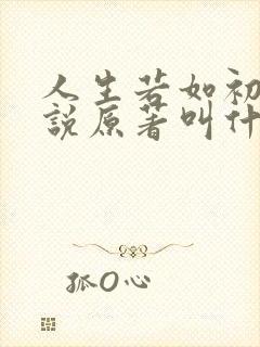 人生若如初见小说原著叫什么
