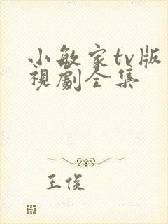 小敏家tv版电视剧全集封面