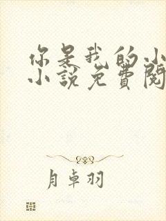 你是我的小确幸小说免费阅读