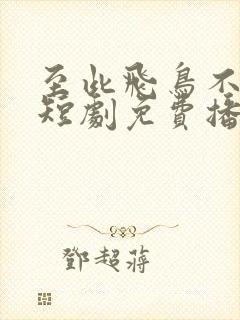 至此飞鸟不相逢短剧免费播放