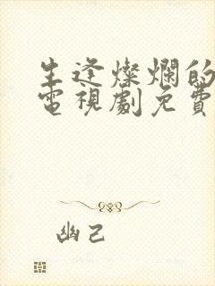 生逢灿烂的日子电视剧免费在线观看