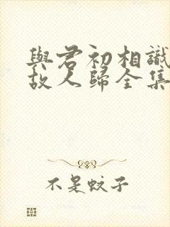 与君初相识恰似故人归全集免费封面