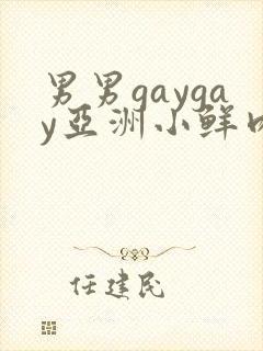 男男gaygay亚洲小鲜肉网站