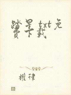 踏星 txt免费下载