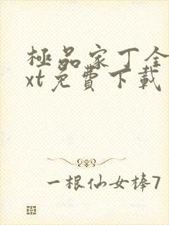 极品家丁全本txt免费下载