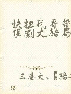 快把我哥带走电视剧大结局封面