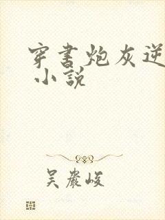 穿书炮灰逆袭记 小说