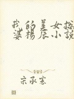 我的美女总裁老婆杨辰小说