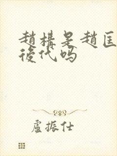 赵构是赵匡胤的后代吗封面