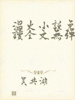 温火小说免费阅读全文无弹窗