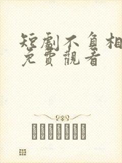 短剧不负相思意免费观看