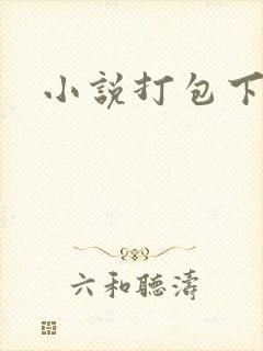 小说打包下载