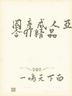 国产成人亚洲综合91精品