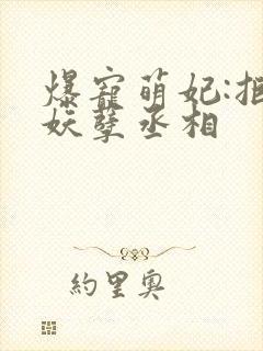 爆宠萌妃:拒嫁妖孽丞相