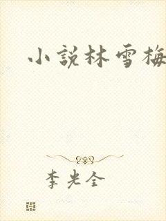 小说林雪梅