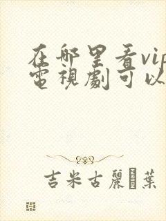 在哪里看vip电视剧可以免费