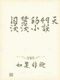 囚禁的49天顾浅浅小说
