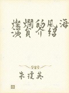 灿烂的风海全部演员介绍