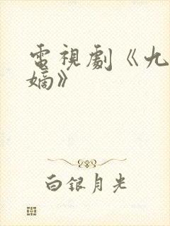 电视剧《九龙夺嫡》