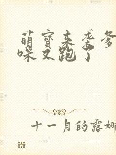 萌宝来袭爹地妈咪又跑了