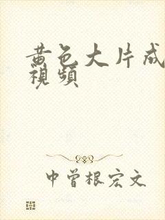 黄色大片成年片视频